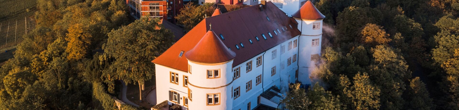 Die Burg Hohenstein