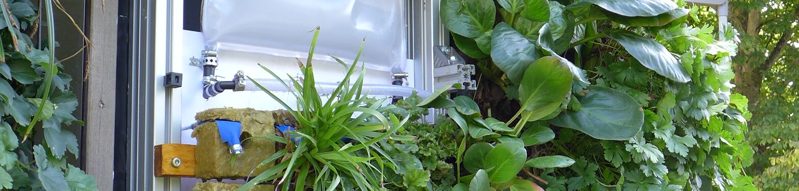 Eine Living Wall der DITF